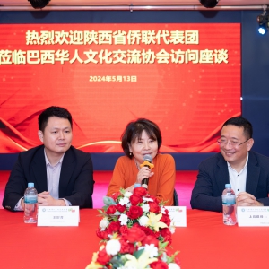 巴西华人文化交流协会与陕西省侨联代表团举行座谈会