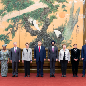 习近平会见主要国际经济组织负责人